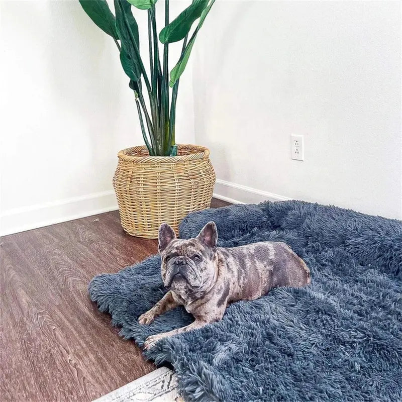 Calming Pet Sofa Protector Soft Durable Cover For Furniture