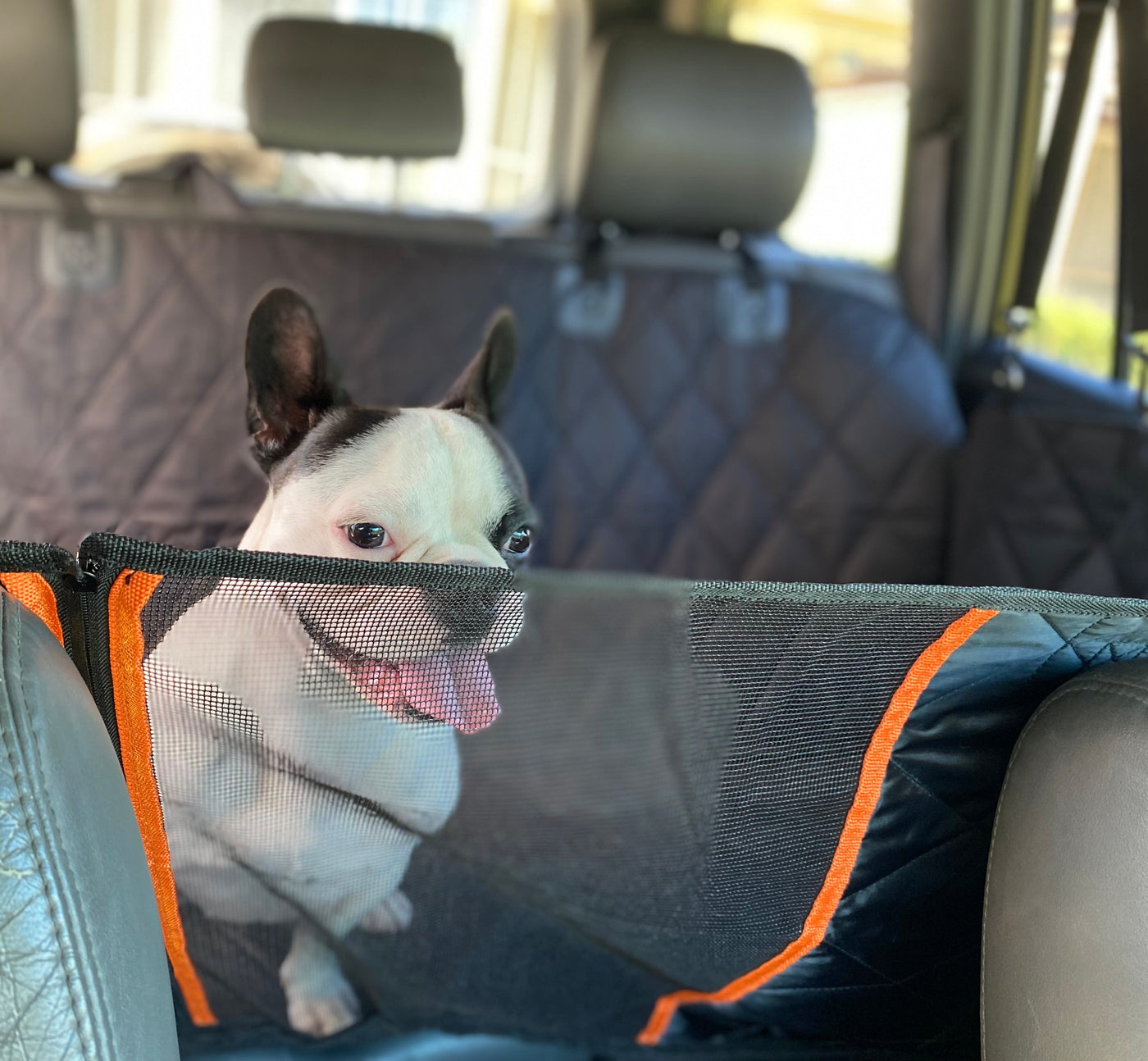 Hammock Style Pet Car Seat Cover With Secure Pet Seat Belt