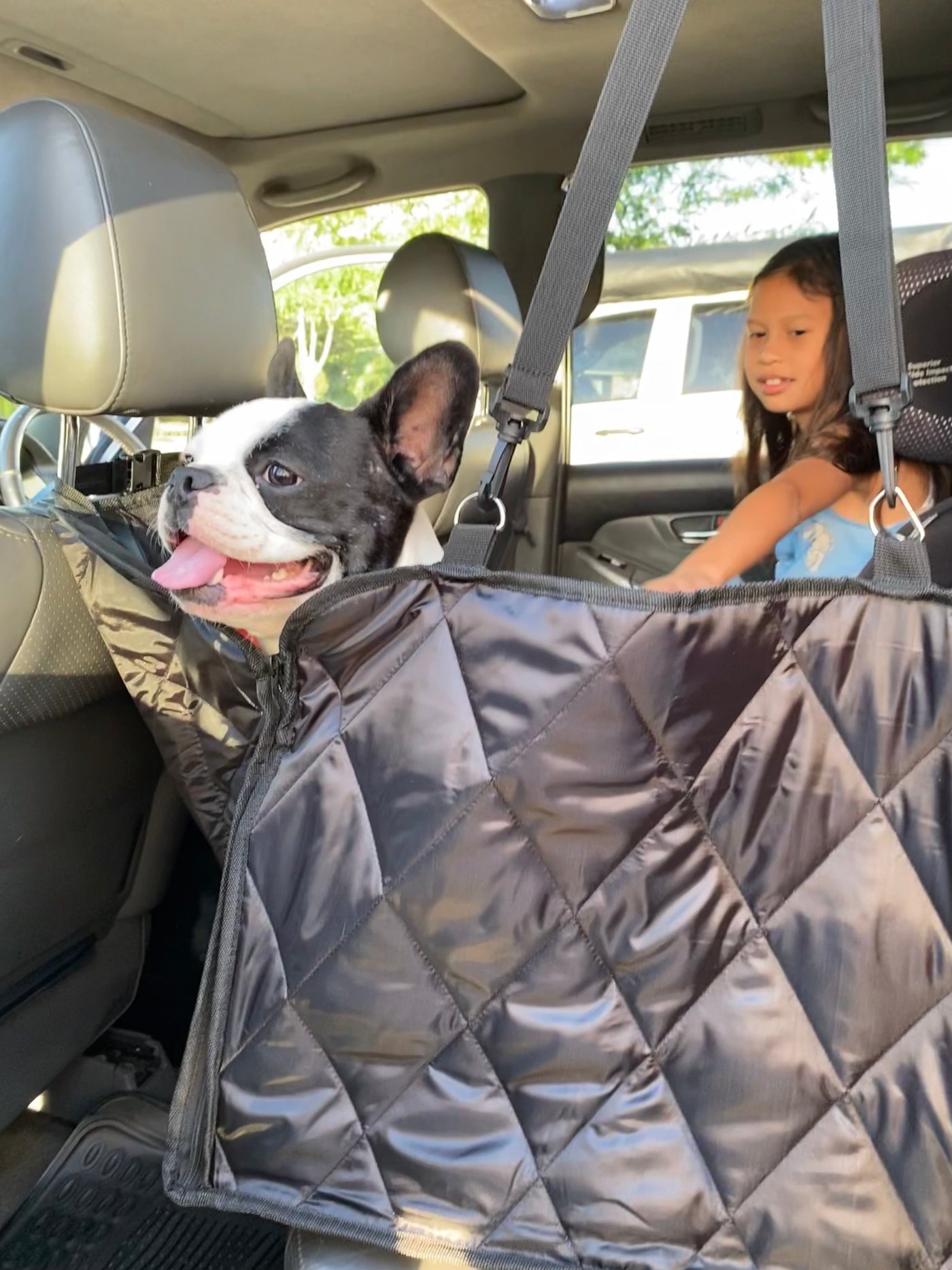 Hammock Style Pet Car Seat Cover With Secure Pet Seat Belt