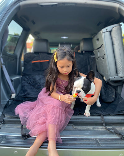Hammock Style Pet Car Seat Cover With Secure Pet Seat Belt