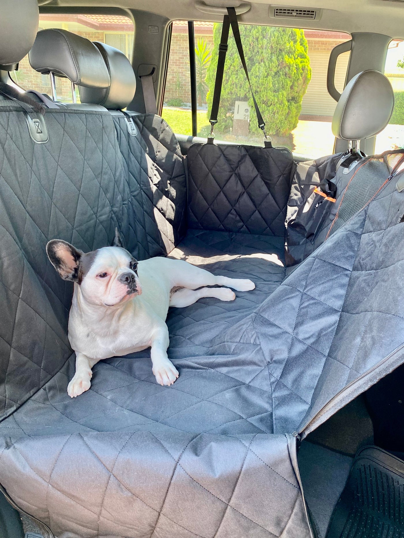 Hammock Style Pet Car Seat Cover With Secure Pet Seat Belt