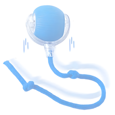 Interactive Cat Ball Toy For Active Play And Exercise