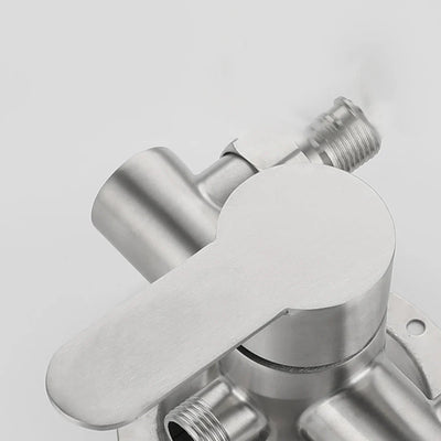 Stainless Steel Shower Faucet Wall Mounted Hot Cold Water Mixer