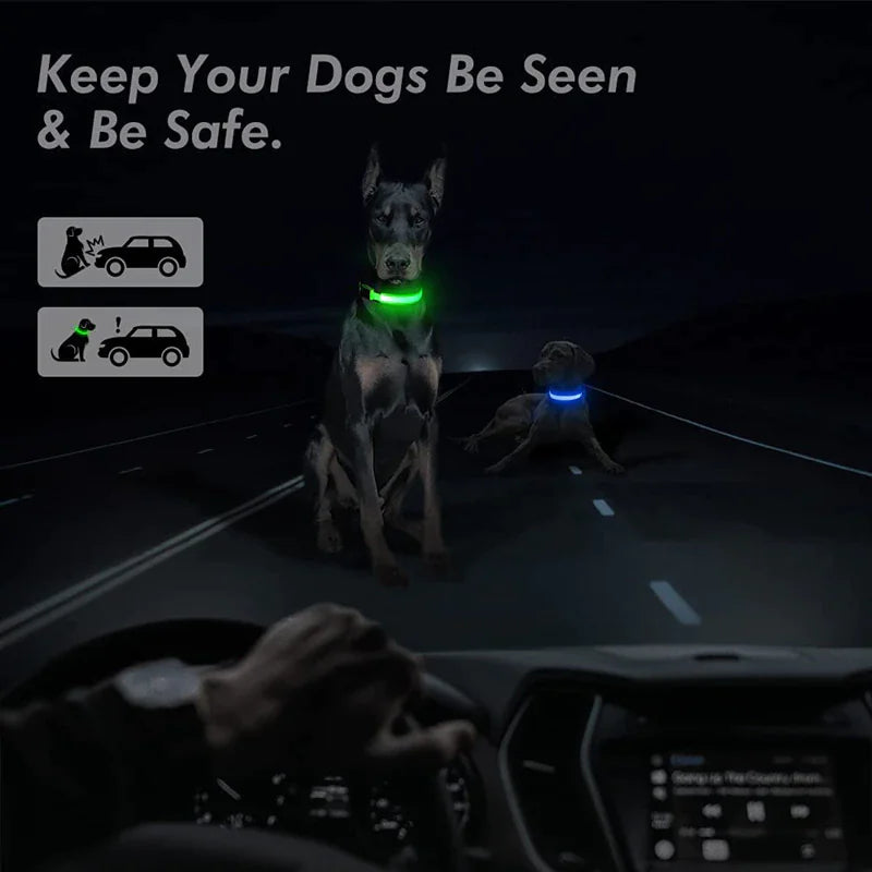 LED Dog Collar Adjustable Waterproof Blinking Safety Light For Pets