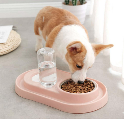 Stainless Steel Pet Bowl With Automatic Water Dispenser For Pets