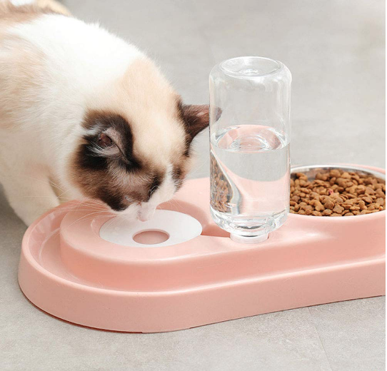 Stainless Steel Pet Bowl With Automatic Water Dispenser For Pets