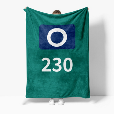 Green Fleece Blanket Soft Cozy Throw In Multiple Sizes Player 456