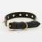 Golden Spike Leather Dog Collar Durable Stylish Black Design