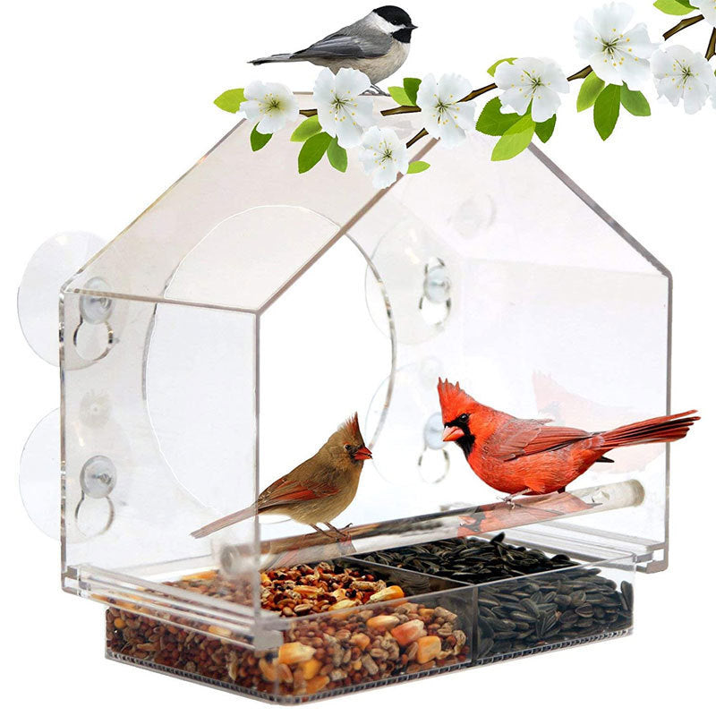 Window Bird Feeder With Live Camera For Close Bird Watching