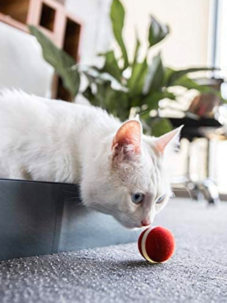 Interactive Cat Ball Toy For Engaging Play And Exercise