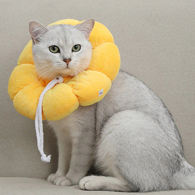 Soft Pet Recovery Collar Adjustable Anti-Scratch Cone For Cats Dogs