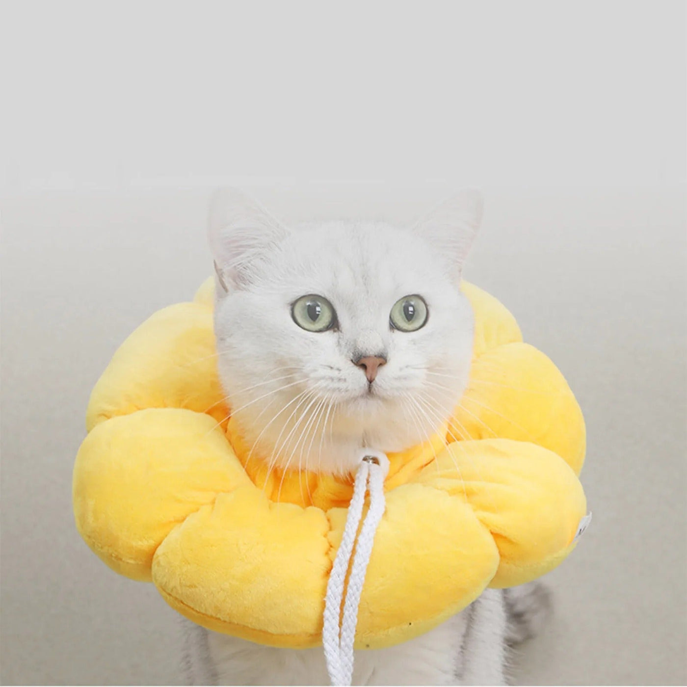 Soft Pet Recovery Collar Adjustable Anti-Scratch Cone For Cats Dogs