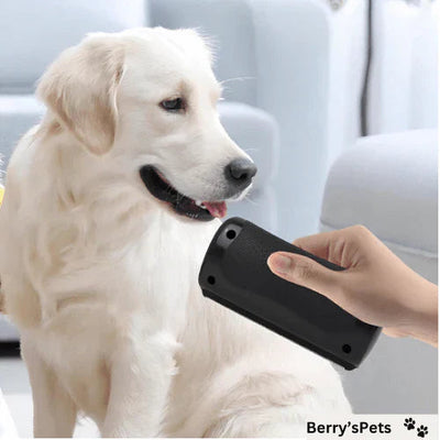 Pet Hair Detangling Comb Grooming Brush For Smooth Coat Care