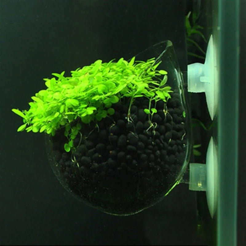 Aquatic Plant Nursery Pot With Suction Cup For Fish Tanks