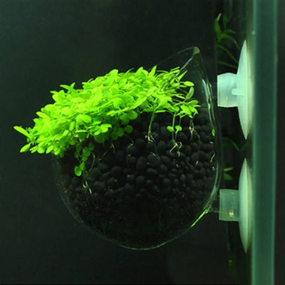 Aquatic Plant Nursery Pot With Suction Cup For Fish Tanks