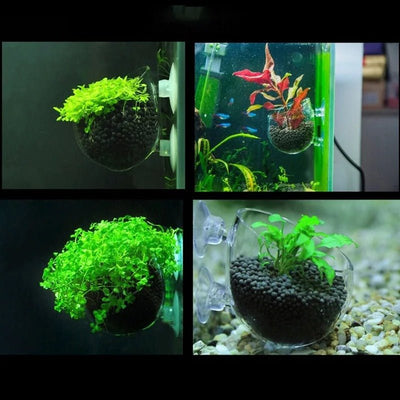 Aquatic Plant Nursery Pot With Suction Cup For Fish Tanks