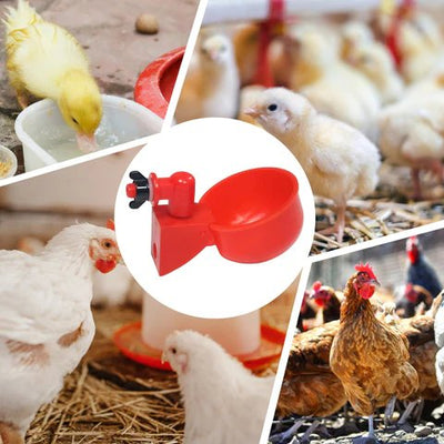 Automatic Chicken Water Cup Set 5 Pcs Durable Drinker For Chickens