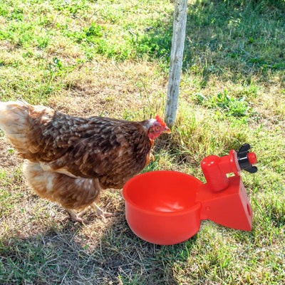 Automatic Chicken Water Cup Set 5 Pcs Durable Drinker For Chickens
