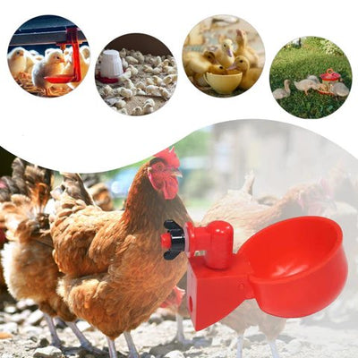 Automatic Chicken Water Cup Set 5 Pcs Durable Drinker For Chickens