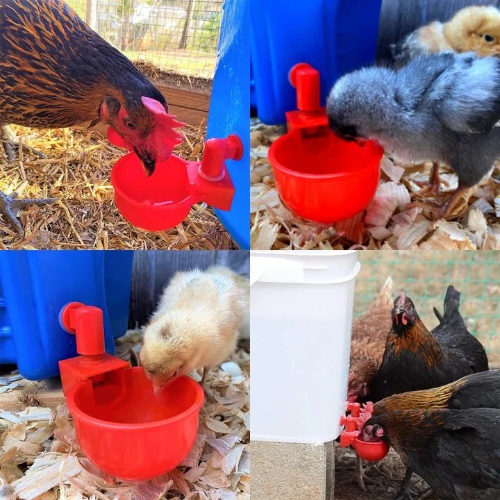 Automatic Chicken Water Cup Set 5 Pcs Durable Drinker For Chickens