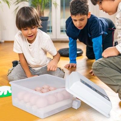 Automatic Egg Incubator For Poultry Hatching 16 Eggs Capacity