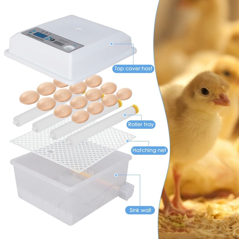 Automatic Egg Incubator For Poultry Hatching 16 Eggs Capacity