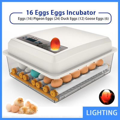 Automatic Egg Incubator For Poultry Hatching 16 Eggs Capacity