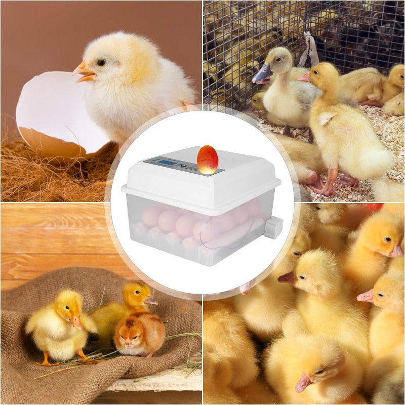 Automatic Egg Incubator For Poultry Hatching 16 Eggs Capacity
