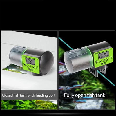 Automatic Fish Feeder With LCD Timer For Convenient Feeding