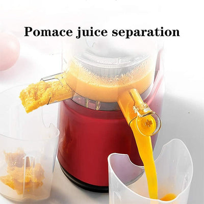 Automatic Juicer For Fruits And Vegetables Household Use