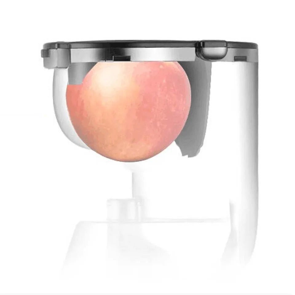 Automatic Juicer For Fruits And Vegetables Household Use