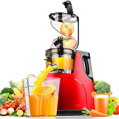 Automatic Juicer For Fruits And Vegetables Household Use