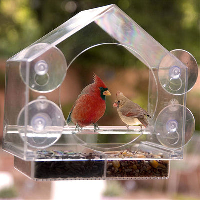 Window Bird Feeder With Live Camera For Close Bird Watching