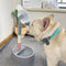 Automatic Pet Water Dispenser For Convenient Hydration