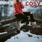 Cosy Ladies Winter Boots Warm Lined Comfortable Footwear