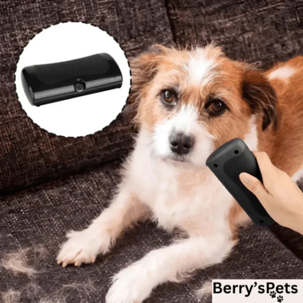 Pet Hair Detangling Comb Grooming Brush For Smooth Coat Care