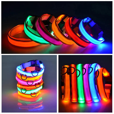 LED Dog Collar Adjustable Waterproof Blinking Safety Light For Pets