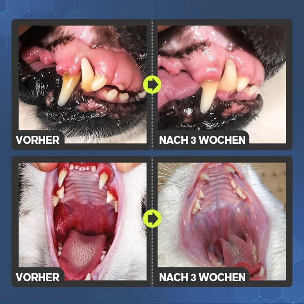 Tooth Cleaning Spray For Dogs And Cats Oral Hygiene Care
