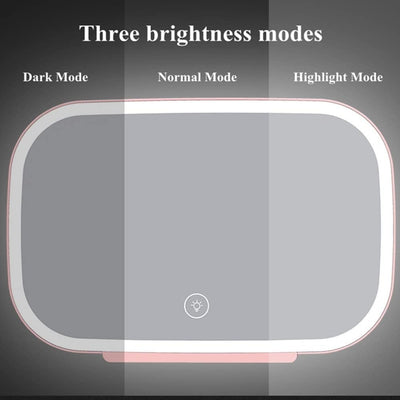 Car LED Make-Up Mirror With Bright Adjustable Lights