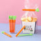 Food Bag Sealing Clips Set Of 5 Carrot Shaped Snack Clamps