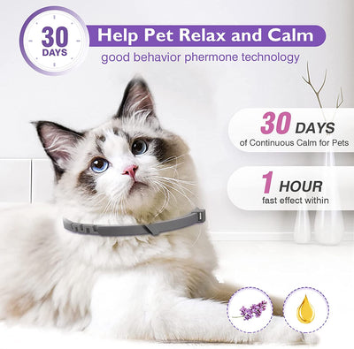 Cat Calming Collar 4pcs 38cm Soothes Cat Behavior And Stress
