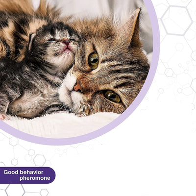 Cat Calming Collar 4pcs 38cm Soothes Cat Behavior And Stress