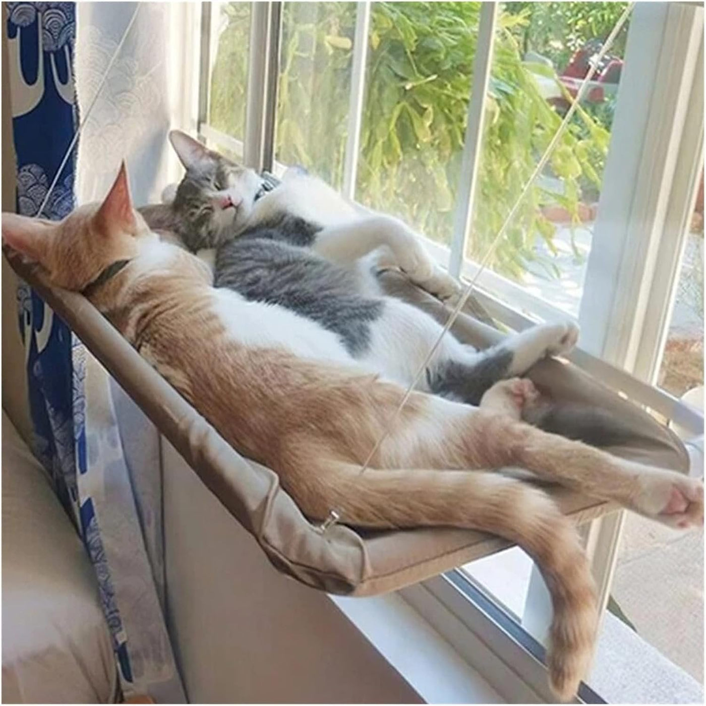 Cat Window Hammock Comfortable Easy Install Relaxing Spot For Cats