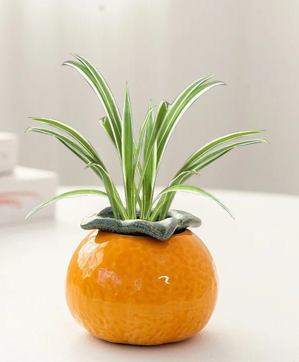 Ceramic Hydroponic Tabletop Vase Orange Succulent Flower Pot
