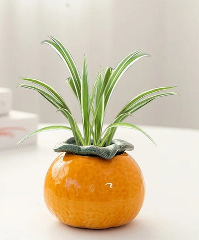 Ceramic Hydroponic Tabletop Vase Orange Succulent Flower Pot