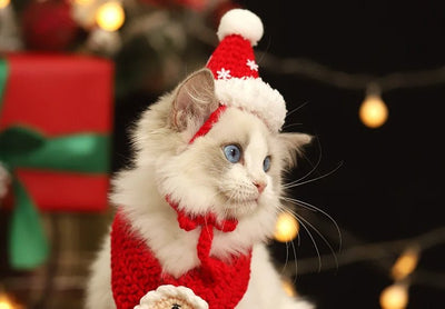 Christmas Pet Scarf Red Cozy Holiday Scarf For Kittens And Puppies