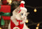 Christmas Pet Scarf Red Cozy Holiday Scarf For Kittens And Puppies