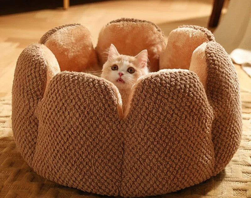 Cactus Petal Cat Bed Soft Cozy Winter Nest For Small Pets