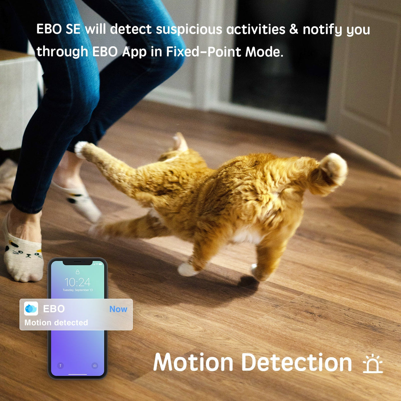 Companion Robot For Interactive Fun With Pets Kids And Adults