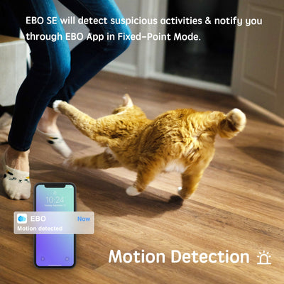 Companion Robot For Interactive Fun With Pets Kids And Adults
